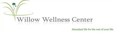 Willow-Wellness-Center-Park-Ridge-Illinois-Logo