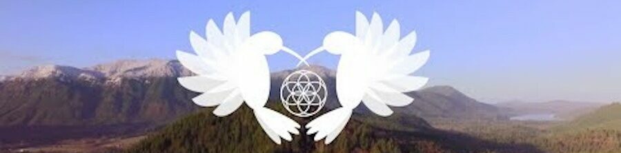 ayahuasca-healings-colorado-springs-logo