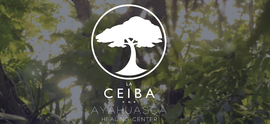 la-ceiba-ayahuasca-healing-center-girardota-antioquia-colombia-logo